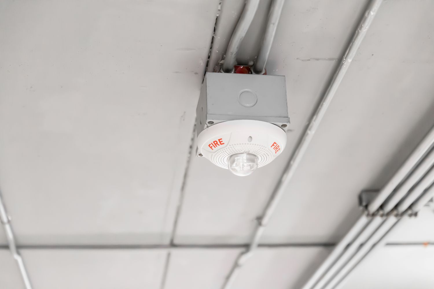 Heat Detector 1